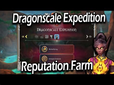 how to farm dragonflight rep.